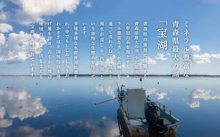 青森県 小川原湖産 冷凍 わかさぎ（大） 1kg