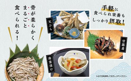 青森県 小川原湖産 冷凍 わかさぎ（大） 1kg