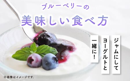 【2025年7月～発送予定】ブルーベリー生実 A級品　1kg　100g×10パック