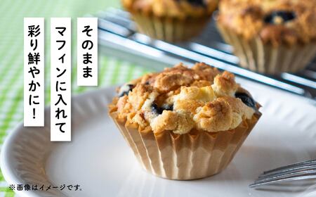 【2025年7月～発送予定】ブルーベリー生実 A級品　1kg　100g×10パック