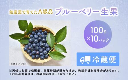 【2025年7月～発送予定】ブルーベリー生実 A級品　1kg　100g×10パック