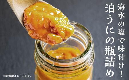 泊うに（汐ウニ）80g