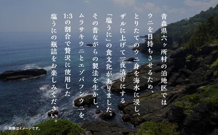 泊うに（汐ウニ）80g