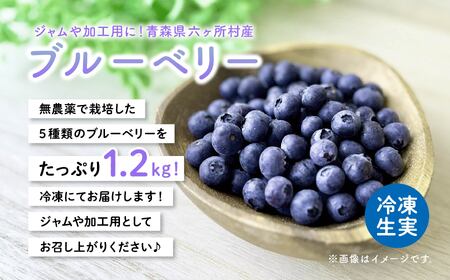 《先行予約 2026年7月下旬~順次出荷》冷凍ブルーベリー300g×4袋