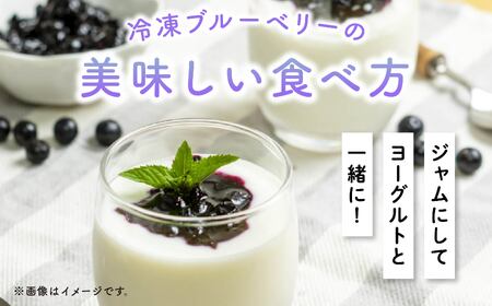 《先行予約 2026年7月下旬~順次出荷》冷凍ブルーベリー300g×4袋