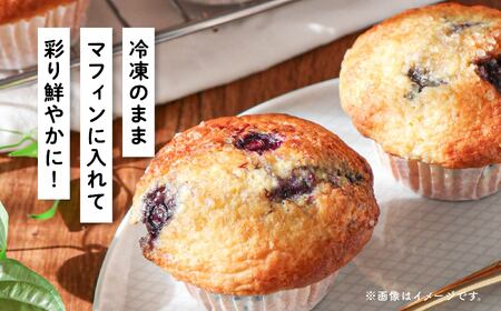 《先行予約 2026年7月下旬~順次出荷》冷凍ブルーベリー300g×4袋