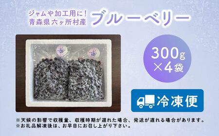 《先行予約 2026年7月下旬~順次出荷》冷凍ブルーベリー300g×4袋