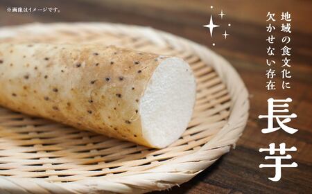 ＜先行予約2025年12月出荷〜＞長芋　5㎏×1箱