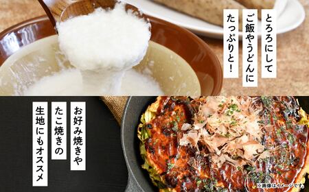 ＜先行予約2025年12月出荷〜＞長芋　5㎏×1箱