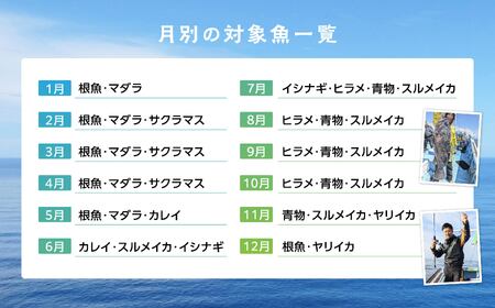 【午前船】遊漁船 大洋丸 船釣り乗合利用権 尾鮫漁港 出港