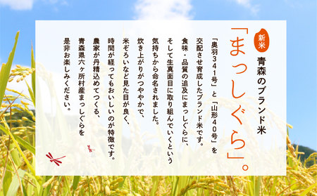 青森県 六ケ所村産 まっしぐら 精米 10kg（田中健）