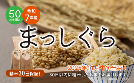 青森県 六ケ所村産 まっしぐら 玄米 10kg（田中健）