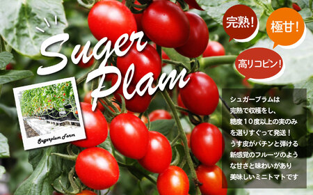 青森県六ヶ所村産トマト　800g