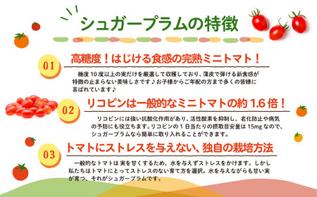 青森県六ヶ所村産トマト　800g