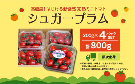 青森県六ヶ所村産トマト　800g