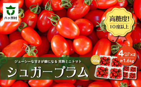 青森県六ヶ所村産トマト　1.6kg