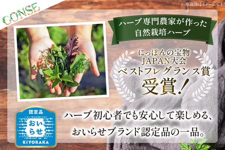 ハーブ セット 自然栽培ハーブ 詰め合わせ [CONSE 青森県 おいらせ町 oi02ayo640000]