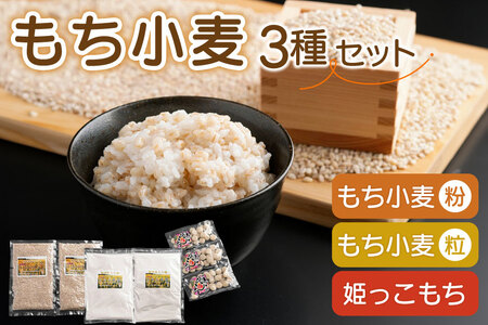 もち小麦 詰め合わせ セット もち姫(粒) 300g 2袋 もち姫(粉) 500g 2袋 姫っこもち 200g 3袋 [アグリの里おいらせ 青森県 おいらせ町 oi02ayo590008]