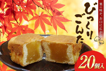 お菓子 びっくりごんた 20個入 [西洋菓子パン工房モンターニュお菓子のやまろく 青森県 おいらせ町 oi02ayo690000]