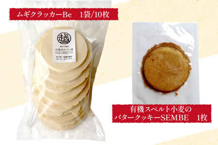 せんべい 食べ比べ 南部せんべい 5袋 セット [川越せんべい店 青森県 おいらせ町 oi02ayo610000]