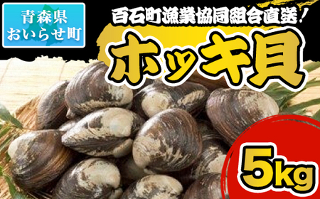 百石町漁業協同組合直送！ホッキ貝 5kg  （2025年1月発送）【 ふるさと納税 人気 おすすめ ランキング 5kg 生もの ホッキ ほっき ホッキ貝 ほっき貝 冷蔵 漁協直送 ブランド認定 ブランド 奥入瀬  北寄貝 クール便 冷蔵便 青森県 おいらせ町 送料無料 】 OIQ301-b 