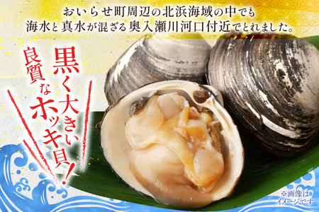 【期間限定発送】【3月発送】 ホッキ貝 5kg [百石町漁業協同組合 青森県 おいらせ町 oi02ayo550004]