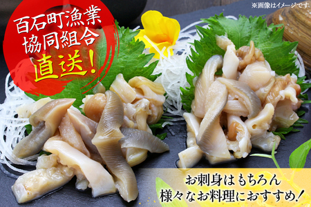 【期間限定発送】【3月発送】 ホッキ貝 5kg [百石町漁業協同組合 青森県 おいらせ町 oi02ayo550004]