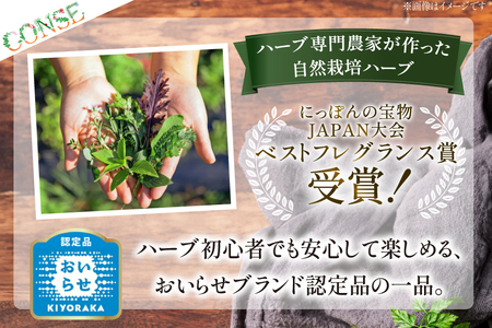 ハーブティー ティーバッグ ハーブティー 5種 飲み比べ セット [CONSE 青森県 おいらせ町 oi02ayo640002]