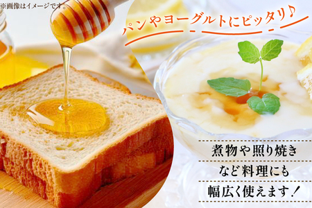 はちみつ 国産 石蔵のはちみつ りんごはちみつ 450g 2本 セット [東養蜂場 青森県 おいらせ町 oi02ayo660016]