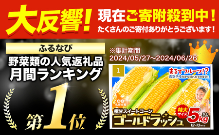 【特大】 とうもろこし 極甘 スイートコーン 「 ゴールドラッシュ 」 5kg 以上 11～13本 特大 サイズ　来年分先行予約 受付中 【2025年8月上旬-9月中旬頃出荷】 特大 北海道とうもろこし　とうもろこし　とうもろこし　とうもろこし とうもろこし [nayoro_loc_10_5k] 