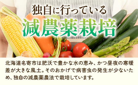 令和7年産 北海道 名寄産 スイートコーン イエロー L～2Lサイズ 22本 《2025年8月中旬-9月上旬頃より順次出荷予定》 