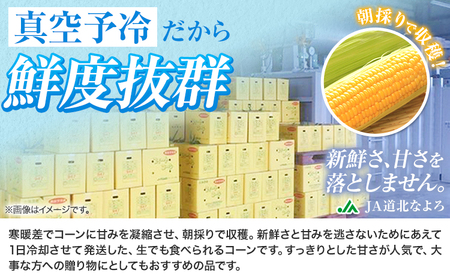 令和7年産 北海道 名寄産 スイートコーン イエロー L～2Lサイズ 22本 《2025年8月中旬-9月上旬頃より順次出荷予定》 