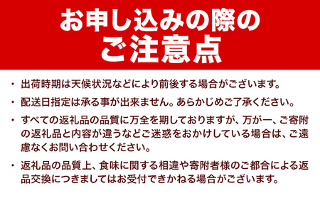 令和7年産 北海道 名寄産 スイートコーン イエロー L～2Lサイズ 22本 《2025年8月中旬-9月上旬頃より順次出荷予定》 