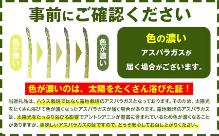 【先行予約】朝採りアスパラガス Lサイズ(1kg) 《2025年5月中旬-6月下旬頃出荷予定》アスパラガス アスパラガス 新鮮 アスパラガス 旬 朝採りアスパラガス 産地直送アスパラガス 名寄 アスパラガ