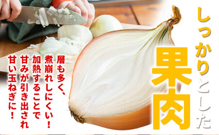 北海道名寄産 玉ねぎ 10kg 秀品  Lサイズ