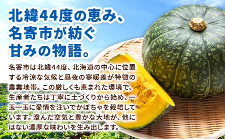 北海道名寄産 かぼちゃ 10kg 5玉～6玉北海道 名寄市 野菜 かぼちゃ 南瓜 黄金かぼちゃ先行予約【2026年10月上旬-10月下旬頃出荷】