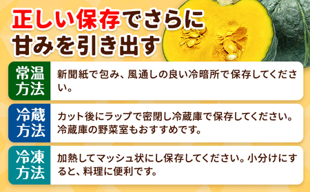 北海道名寄産 かぼちゃ 10kg 5玉～6玉北海道 名寄市 野菜 かぼちゃ 南瓜 黄金かぼちゃ先行予約【2026年10月上旬-10月下旬頃出荷】