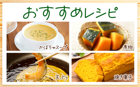 北海道名寄産 かぼちゃ 10kg 5玉～6玉北海道 名寄市 野菜 かぼちゃ 南瓜 黄金かぼちゃ先行予約【2026年10月上旬-10月下旬頃出荷】