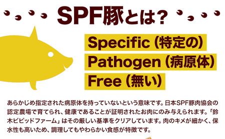 名寄産SPF豚「鈴木ビビッドファーム」はちみつチャーシュー・白の貴婦人ウインナーセット 《30日以内に出荷予定(土日祝除く)》ｳｲﾝﾅｰｿｰｾｰｼﾞｳｲﾝﾅｰｿｰｾｰｼﾞｳｲﾝﾅｰｿｰｾｰｼﾞｳｲﾝﾅｰｿｰｾｰｼﾞｳｲﾝﾅｰｿｰｾｰｼﾞｳｲﾝﾅｰｿｰｾｰｼﾞｳｲﾝﾅｰｿｰｾｰｼﾞｳｲﾝﾅｰｿｰｾｰｼﾞｳｲﾝﾅｰｿｰｾｰｼﾞｳｲﾝﾅｰｿｰｾｰｼﾞｳｲﾝﾅｰｿｰｾｰｼﾞｳｲﾝﾅｰｿｰｾｰｼﾞｳｲﾝﾅｰｿｰｾｰｼﾞｳｲﾝﾅｰｿｰｾｰｼﾞｳｲﾝﾅｰｿｰｾｰｼﾞｳｲﾝﾅｰｿｰｾｰｼﾞｳｲﾝﾅｰｿｰｾｰｼﾞｳｲﾝﾅｰｿｰｾｰｼﾞｳｲﾝﾅｰｿｰｾｰｼﾞｳｲﾝﾅｰｿｰｾｰｼﾞｳｲﾝﾅｰｿｰｾｰｼﾞｳｲﾝﾅｰｿｰｾｰｼﾞｳｲﾝﾅｰｿｰｾｰｼﾞｳｲﾝﾅｰｿｰｾｰｼﾞｳｲﾝﾅｰｿｰｾｰｼﾞｳｲﾝﾅｰｿｰｾｰｼﾞｳｲﾝﾅｰｿｰｾｰｼﾞｳｲﾝﾅｰｿｰｾｰｼﾞｳｲﾝﾅｰｿｰｾｰｼﾞｳｲﾝﾅｰｿｰｾｰｼﾞｳｲﾝﾅｰｿｰｾｰｼﾞｳｲﾝﾅｰｿｰｾｰｼﾞｳｲﾝﾅｰｿｰｾｰｼﾞｳｲﾝﾅｰｿｰｾｰｼﾞｳｲﾝﾅｰｿｰｾｰｼﾞｳｲﾝﾅｰｿｰｾｰｼﾞｳｲﾝﾅｰｿｰｾｰｼﾞｳｲﾝﾅｰｿｰｾｰｼﾞｳｲﾝﾅｰｿｰｾｰｼﾞｳｲﾝﾅｰｿｰｾｰｼﾞ