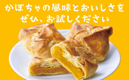 千虎 かぼちゃパイ 詰合せ 21個入り かぼちゃ《60日以内に出荷予定