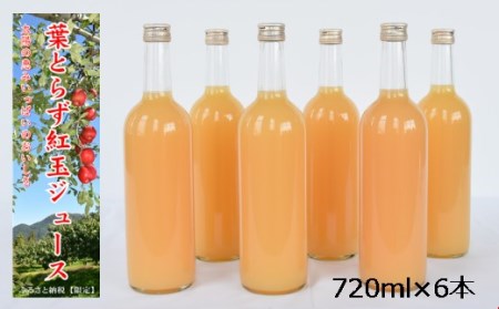 葉取らず【紅玉】100%使用ストレートりんごジュース【720ml×6本】