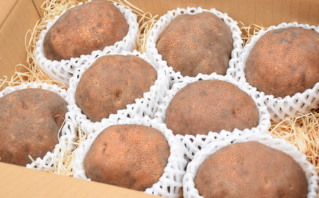 【2025年産】ねばりが凄い!高級食材「丸いも」(つくね芋)約3kg 青森県産