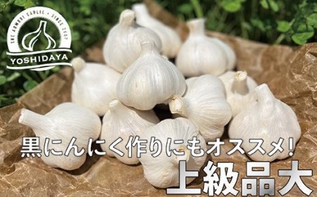 青森県産「にんにく・福地ホワイト種」　大サイズ・800g【2023年産】