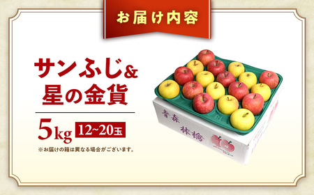 【先行予約】2026年発送 青森県産りんご サンふじ＆星の金貨 セット 約5kg