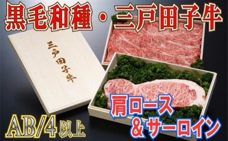 国産和牛 肩ロース 370g & サーロイン 200g 黒毛和牛 「三戸・田子牛」