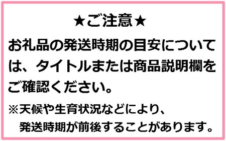 りんご【サンふじ】8～12玉（約3kg）【2024年産・先行予約】★2024年12月下旬～2025年1月中旬以降にかけて順次発送★　りんごりんごりんごりんごりんごりんごりんごりんごりんごりんご サンふじサンふじサンふじサンふじサンふじサンふじサンふじサンふじサンふじサンふじ 青森青森青森青森青森青森青森青森青森青森 リンゴリンゴリンゴリンゴリンゴリンゴリンゴリンゴリンゴリンゴ