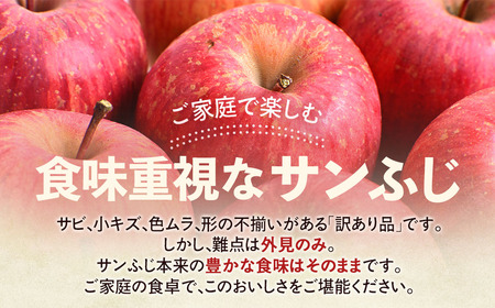 【訳あり】 青森県産りんご サンふじ 約5kg 12月発送 りんご