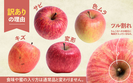 【訳あり】 青森県産りんご サンふじ 約5kg 12月発送 りんご