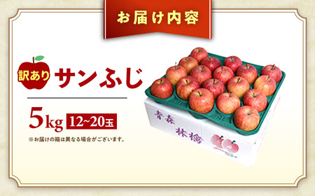 【訳あり】 青森県産りんご サンふじ 約5kg 12月発送 りんご