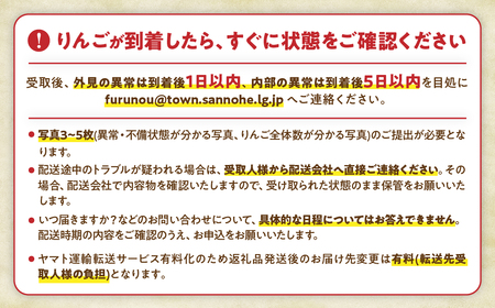 【訳あり】 青森県産りんご サンふじ 約5kg 12月発送 りんご